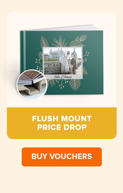 FLUSH MOUNT PRICE DROP